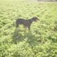 De paseo por el lote